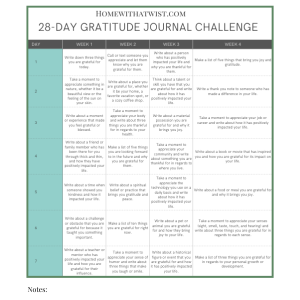 28-day Gratitude Journal